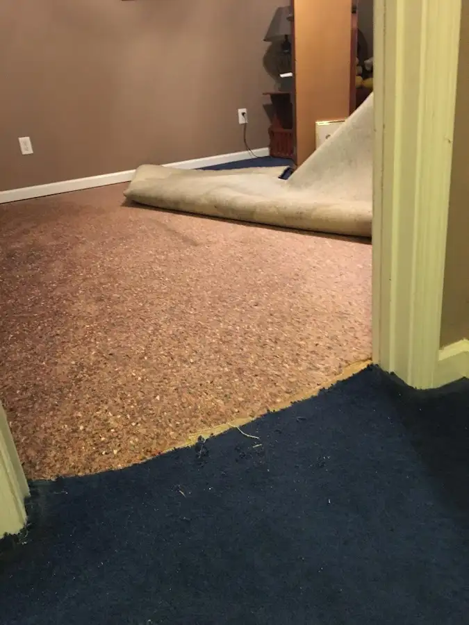 Carpet pad removal revealing water damage during Drying & Dehumidification in East Rancho Dominguez